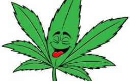 Best places to eat while high
