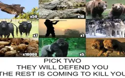 Pick 2 the rest are coming to kill you