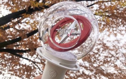 kpop light sticks