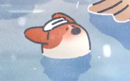 Discord Rankings