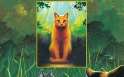 fighting cats (wc)