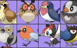 Bird Pokemon