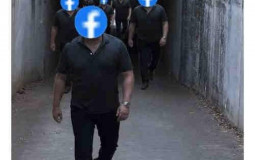 THE WEED GUY ADMINS