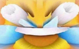 GAM