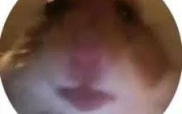 Tiktok Germany
