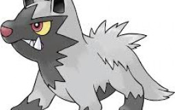 Pokemon Dogs