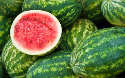 melons