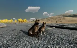WolfQuest Coats