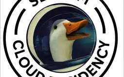 Duck Tier List