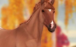 My Star Stable Horses