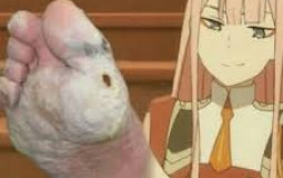memes