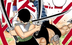 One Piece Fights