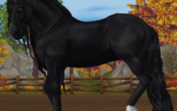 star stable horses