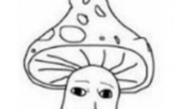 bquorq