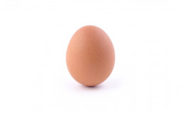 EGG Element Ranking