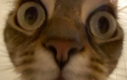 AHHHHHHHHHHHHHHHHHHHHHHHHHHHHHHHHH