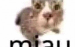 Lofi tier list