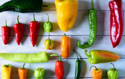Hot Peppers