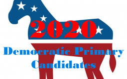 2020 Democratic Primary Candidates