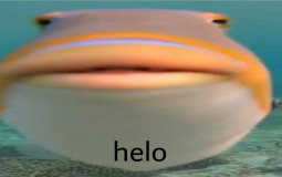 helo