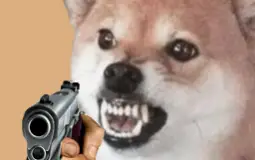 smplive pog