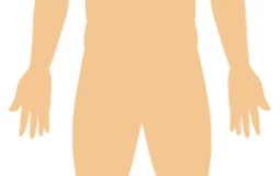 Partes del cuerpo