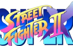 Street fighter 2x player