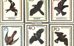 Iberian Birds of Prey