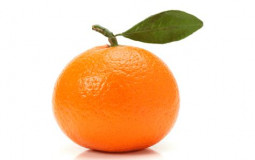 Matérias