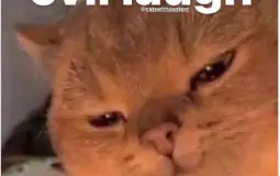 OwO