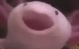 help