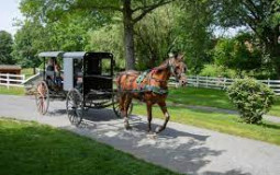 Amish