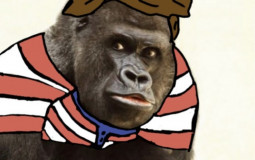 Monkeys >:(