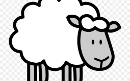 Sheeps