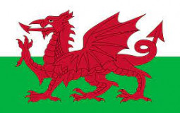 Factors contributing to feelings of welshness