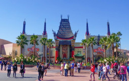 Hollywood Studios