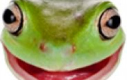 Dota 2