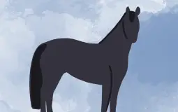 My horses