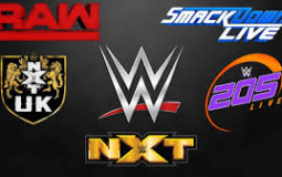 WWE Championships Designs