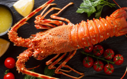 Fruits de mer