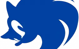 Can I Copy Your Homework? Sonic Version