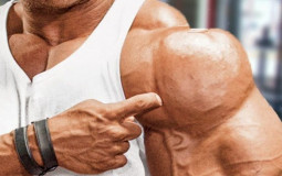 Muscle Group Rankings