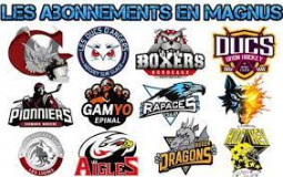 Ligue Magnus équipe