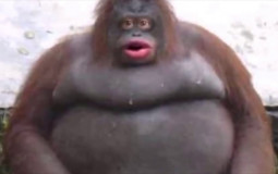 monke