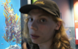 dylan tier list