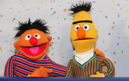 Bert v. Ernie