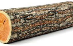 Favorite log type