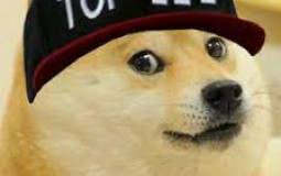 gamer