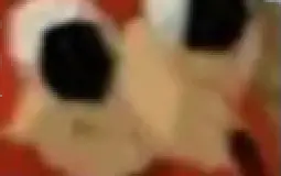 casais do meu rpg