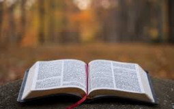 Old Testament Books of the Bible